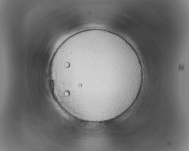 X0000111131056200907211109