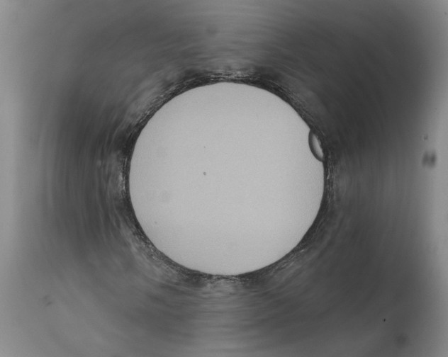 X0000111131058200907211108