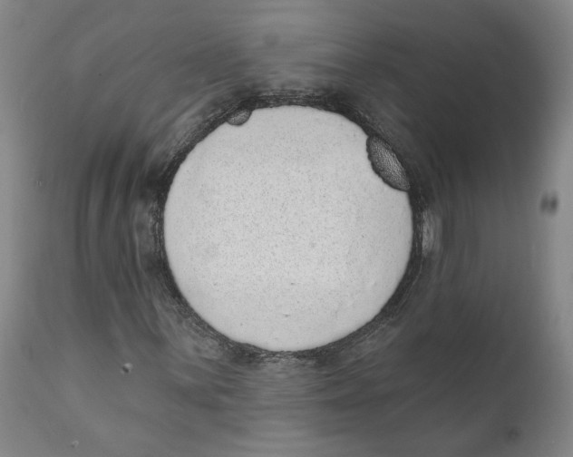 X0000111131059200907211108