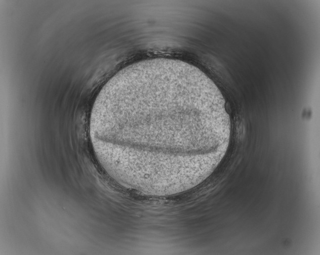 X0000111131060200907211108