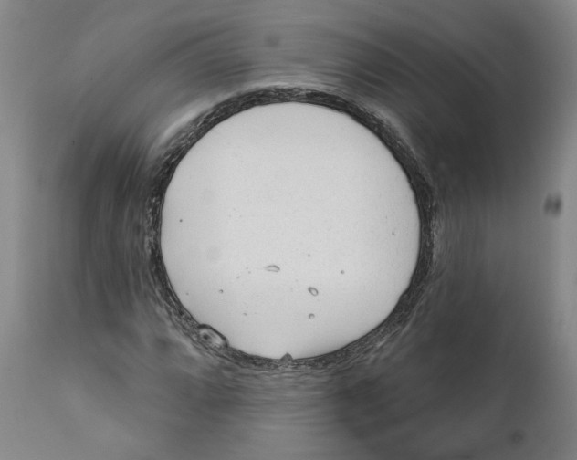 X0000111131064200907211108