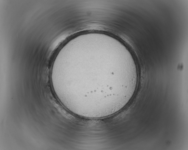 X0000111131067200907211108