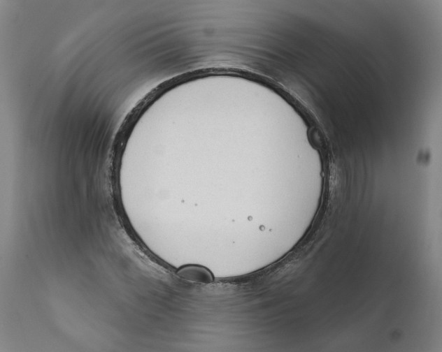 X0000111131068200907211108