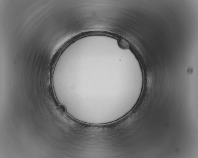 X0000111131069200907211108