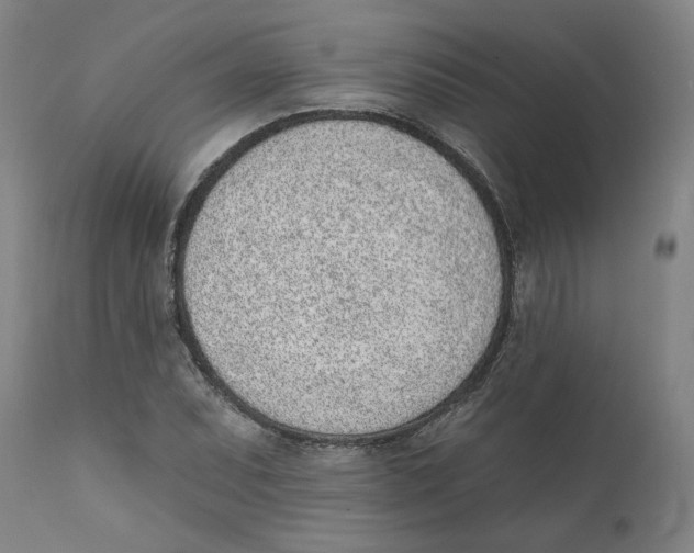 X0000111131071200907211108