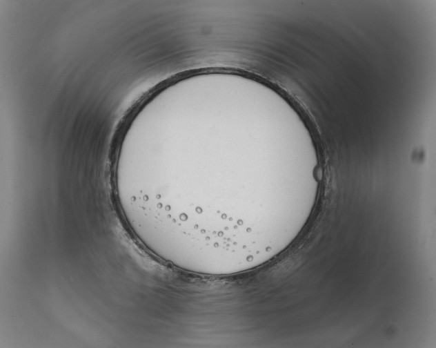 X0000111131072200907211108
