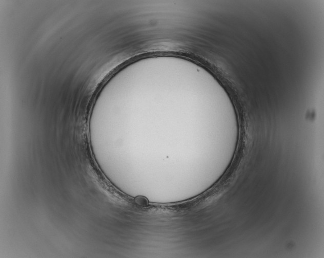 X0000111131073200907211108