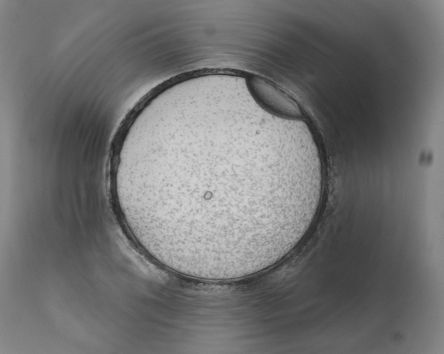 X0000111131076200907211108