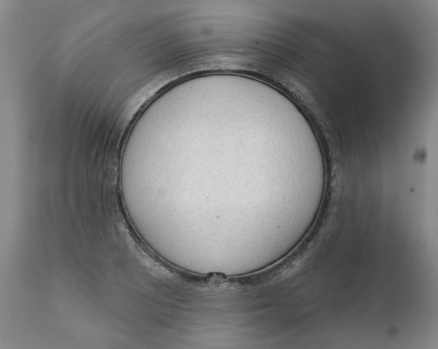 X0000111131081200907211108