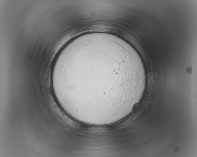 X0000111131083200907211108