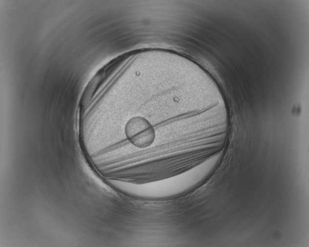 X0000111131084200907211108