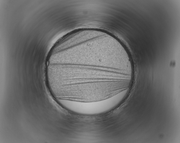 X0000111131085200907211108