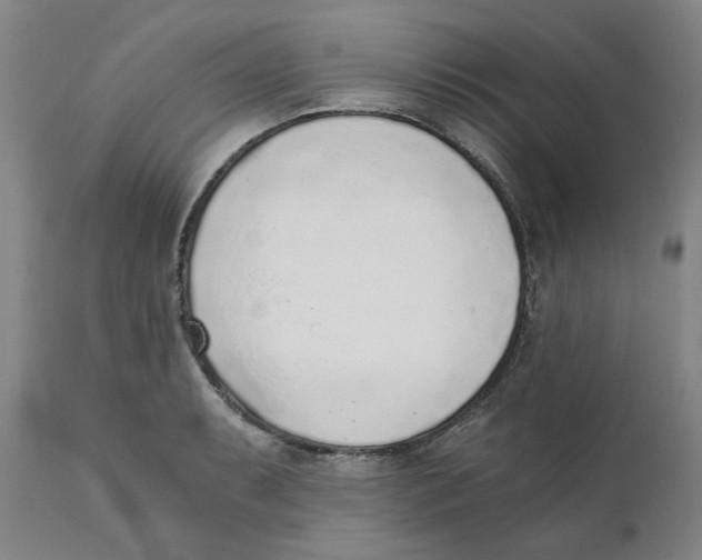 X0000111131087200907211108