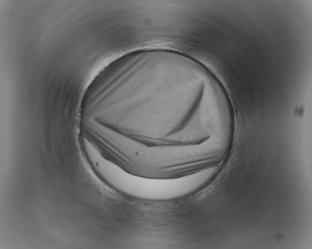 X0000111131093200907211108