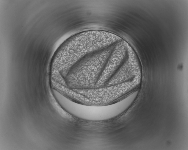 X0000111131098200907211108