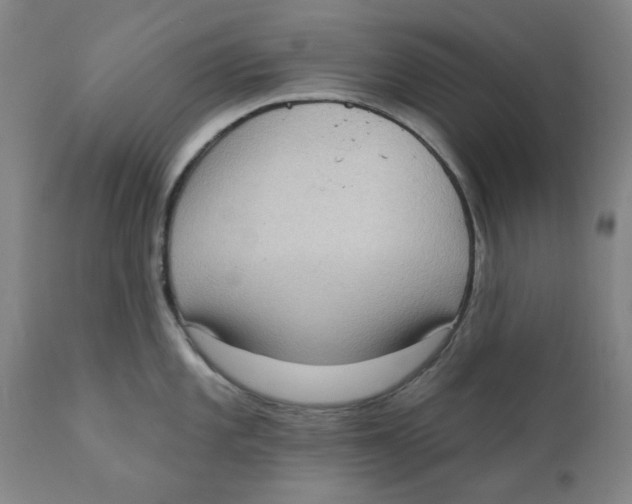 X0000111131101200907211108