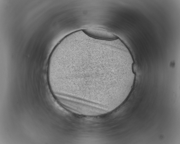 X0000111131102200907211108