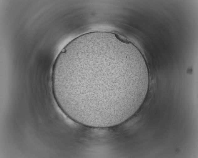 X0000111131103200907211108