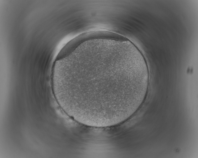 X0000111131104200907211108