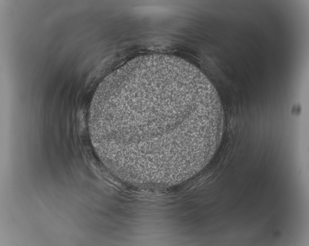 X0000111131106200907211107