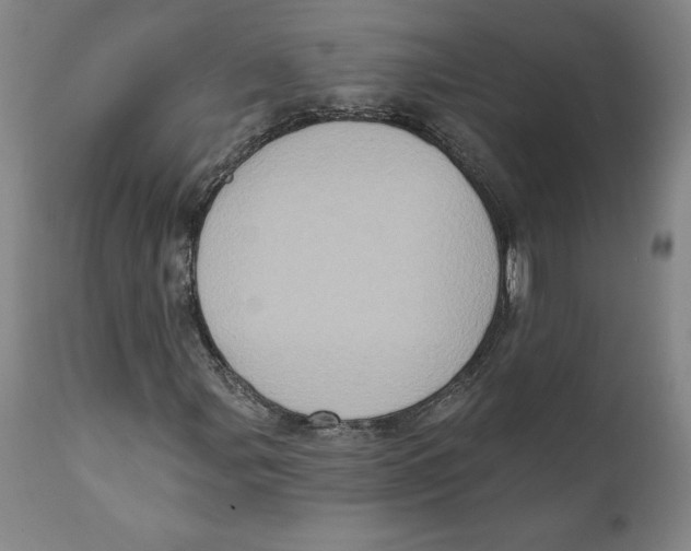X0000111131107200907211107