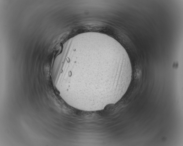 X0000111131108200907211107