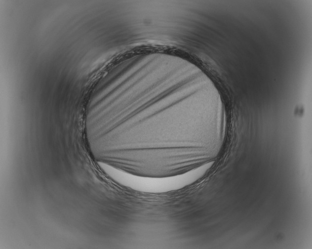 X0000111131110200907211107
