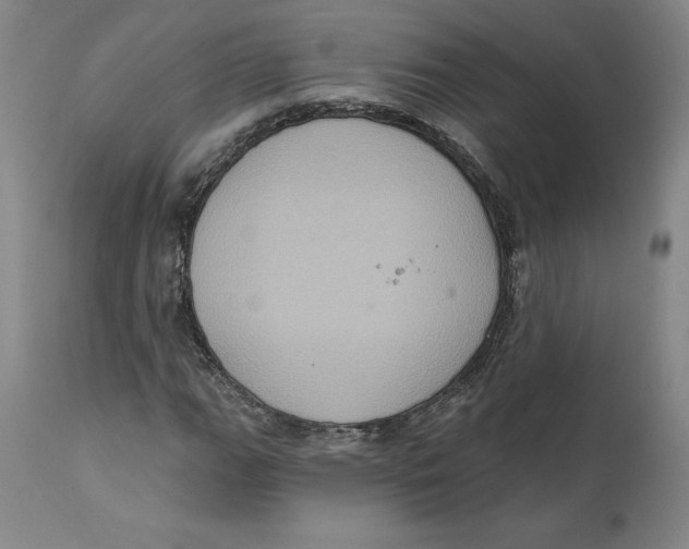 X0000111131111200907211107