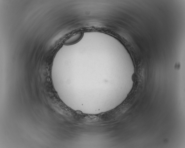 X0000111131112200907211107