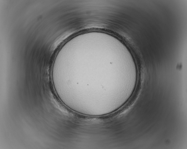 X0000111131113200907211107