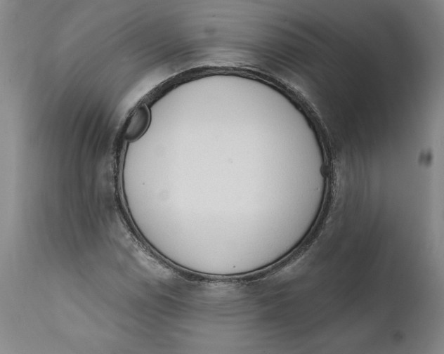 X0000111131114200907211107