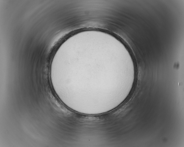 X0000111131115200907211107