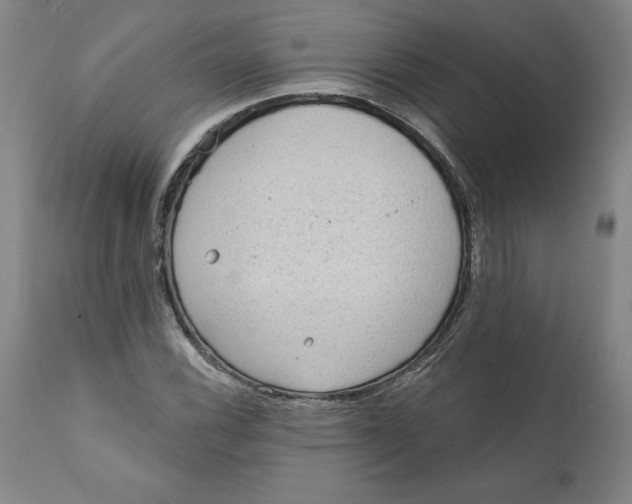 X0000111131116200907211107