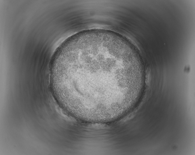 X0000111131117200907211107
