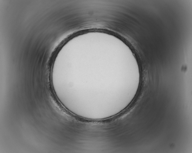 X0000111131118200907211107