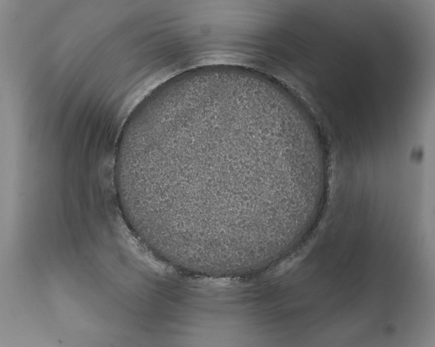 X0000111131121200907211107