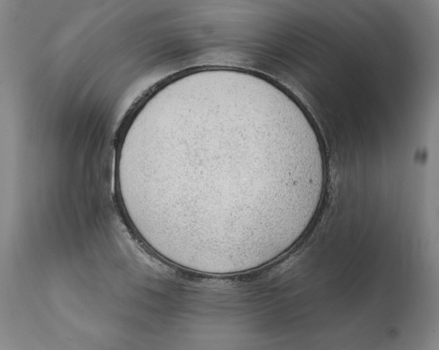 X0000111131123200907211107
