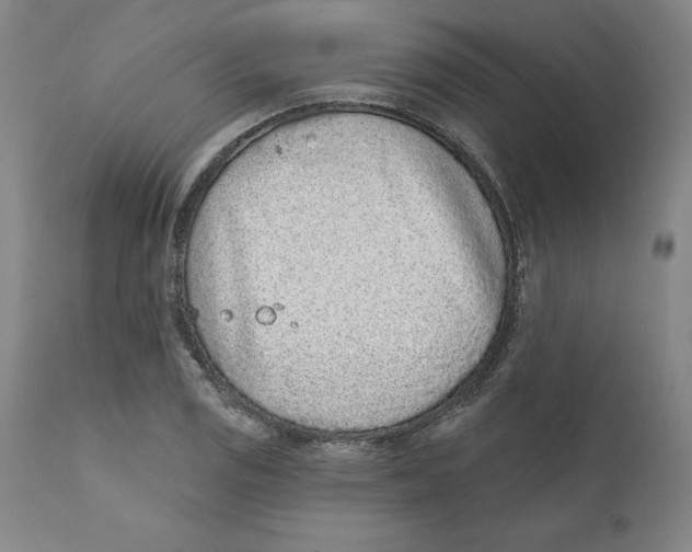 X0000111131125200907211107