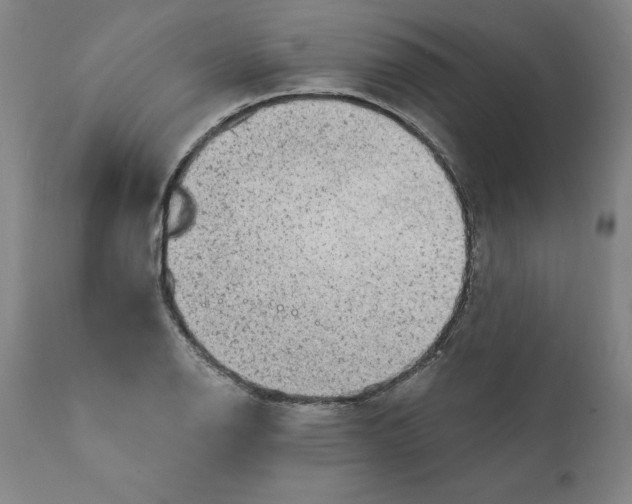 X0000111131126200907211107