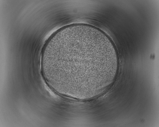X0000111131127200907211107
