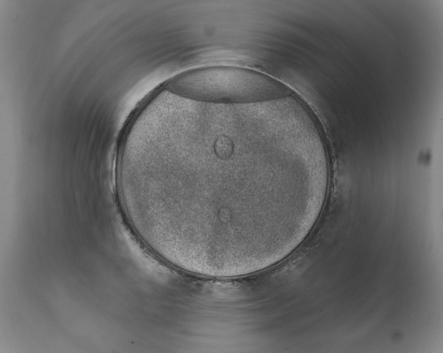 X0000111131128200907211107