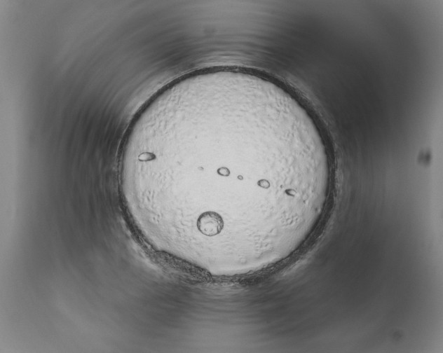 X0000111131129200907211107