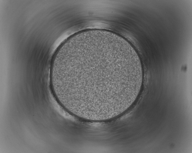 X0000111131130200907211107