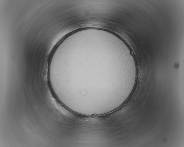 X0000111131131200907211107