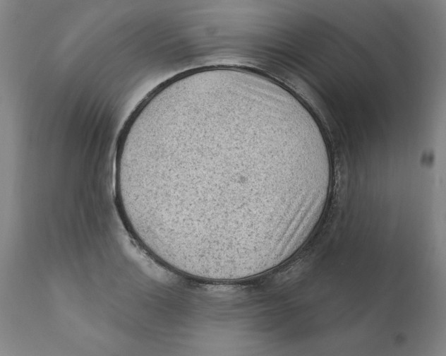X0000111131132200907211107