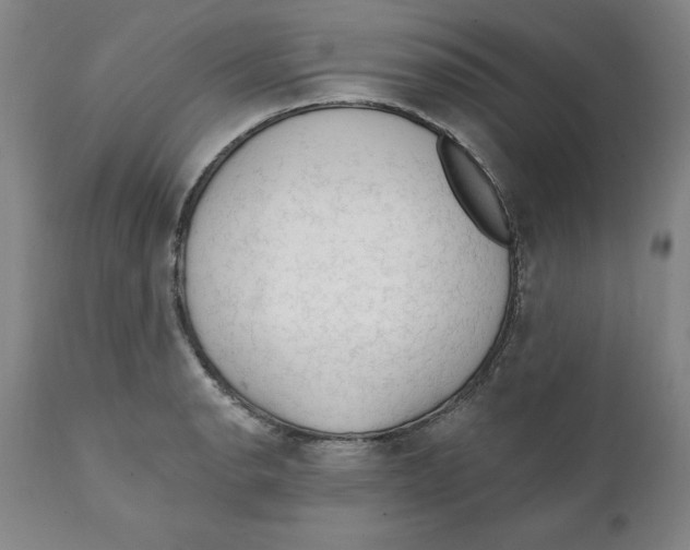 X0000111131134200907211107