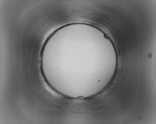 X0000111131136200907211107