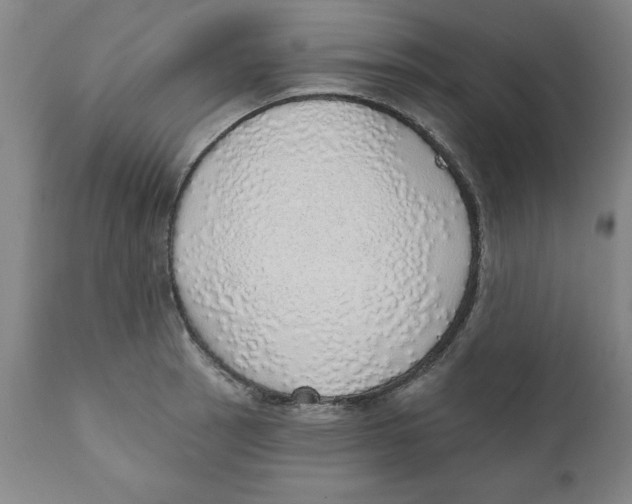 X0000111131137200907211107