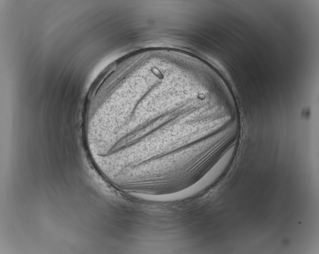 X0000111131138200907211107