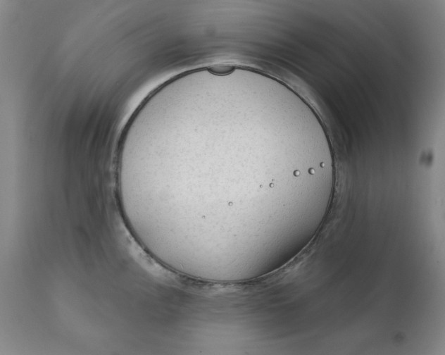 X0000111131148200907211108